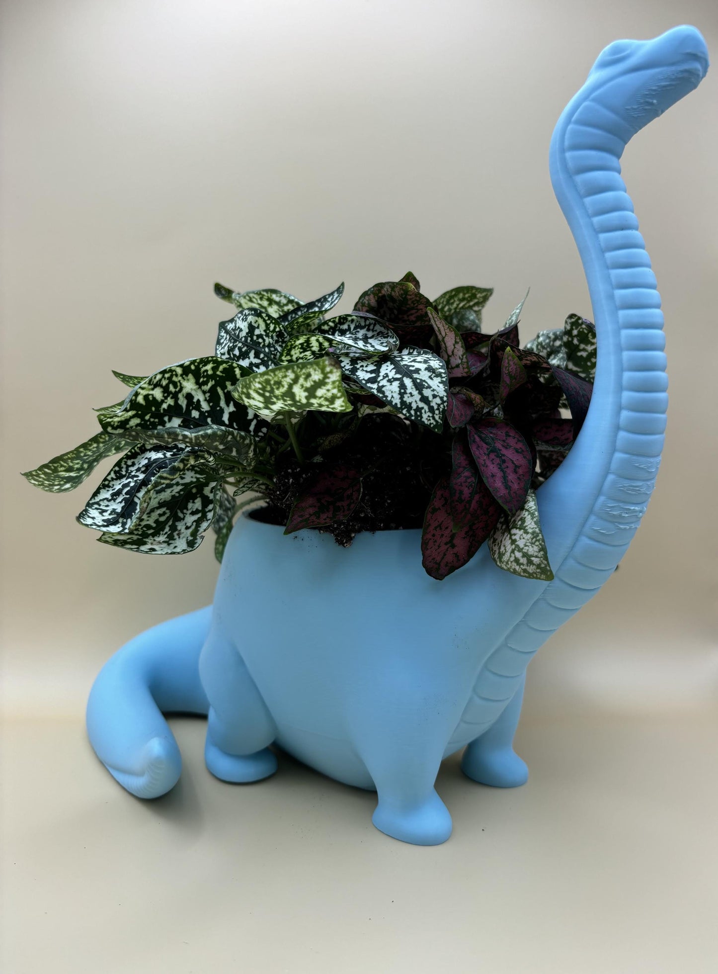Dinosaur Plant Pot β Customisable!