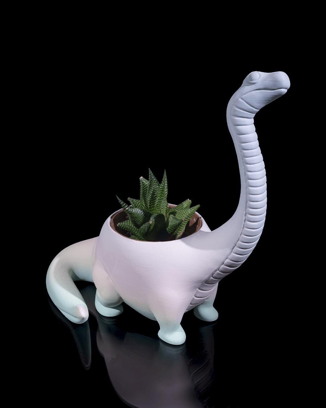 Dinosaur Plant Pot β Customisable!