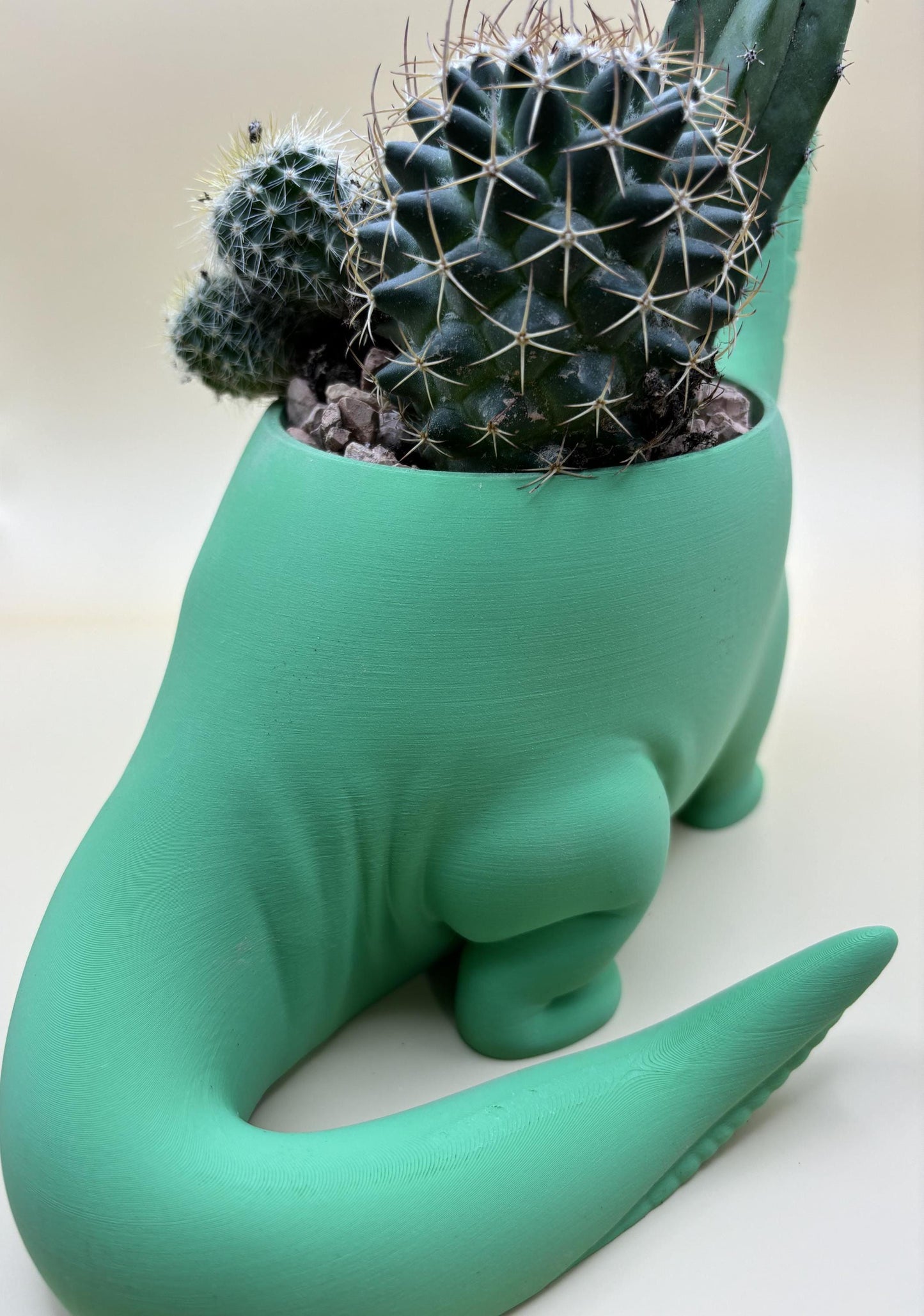 Dinosaur Plant Pot β Customisable!