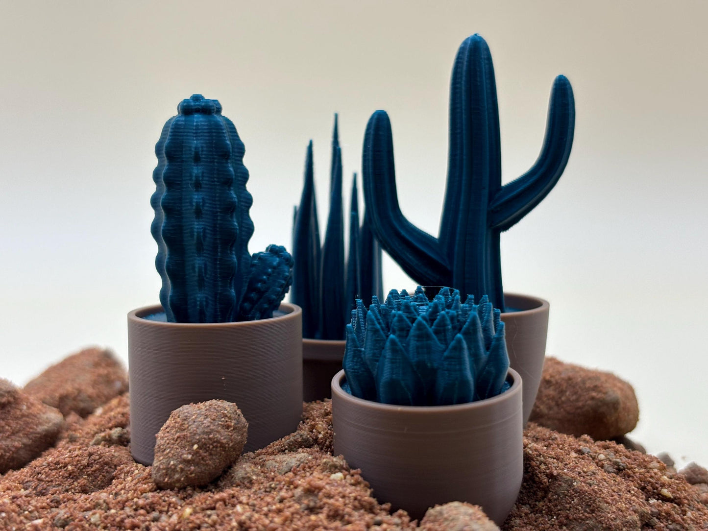 3D Printed Cactus Desk Ornaments – Charming Pot Shapes