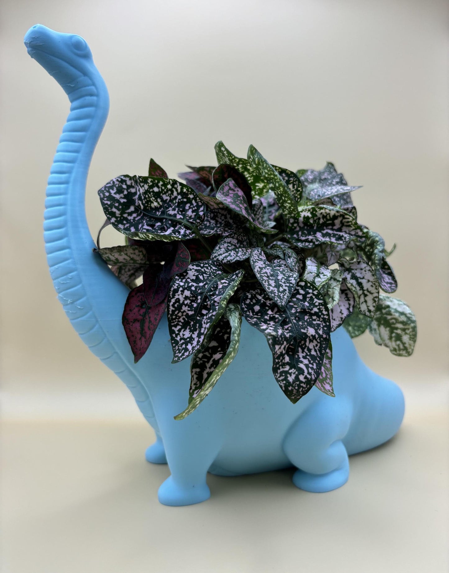 Dinosaur Plant Pot β Customisable!