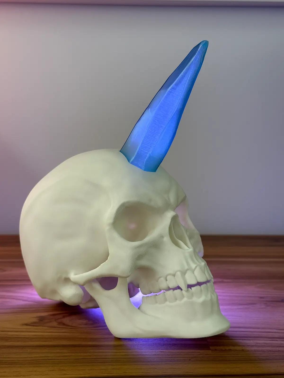 Large Articulated Skull – Classic, Punk & Unicorn Versions Available