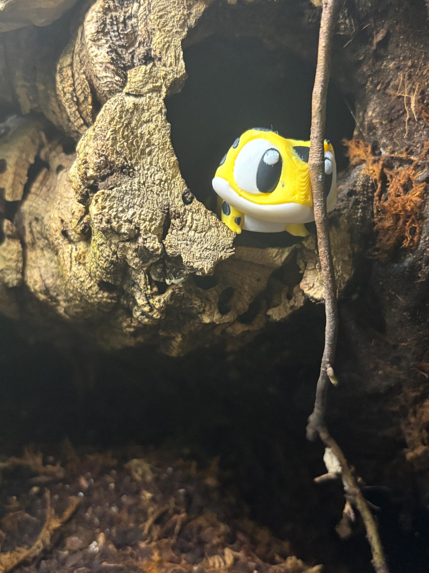 Leo The Flexi Gecko – The Flexible Reptile You’ve Been Looking For!