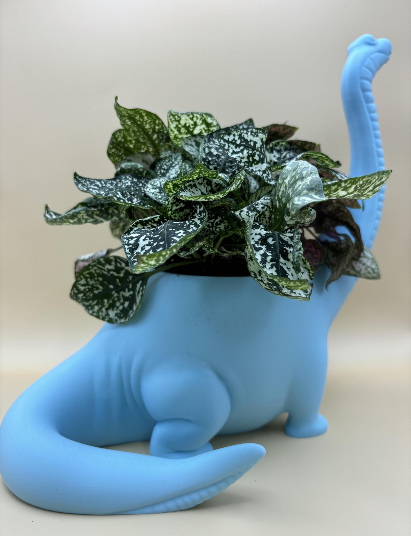 Dinosaur Plant Pot – Customisable!