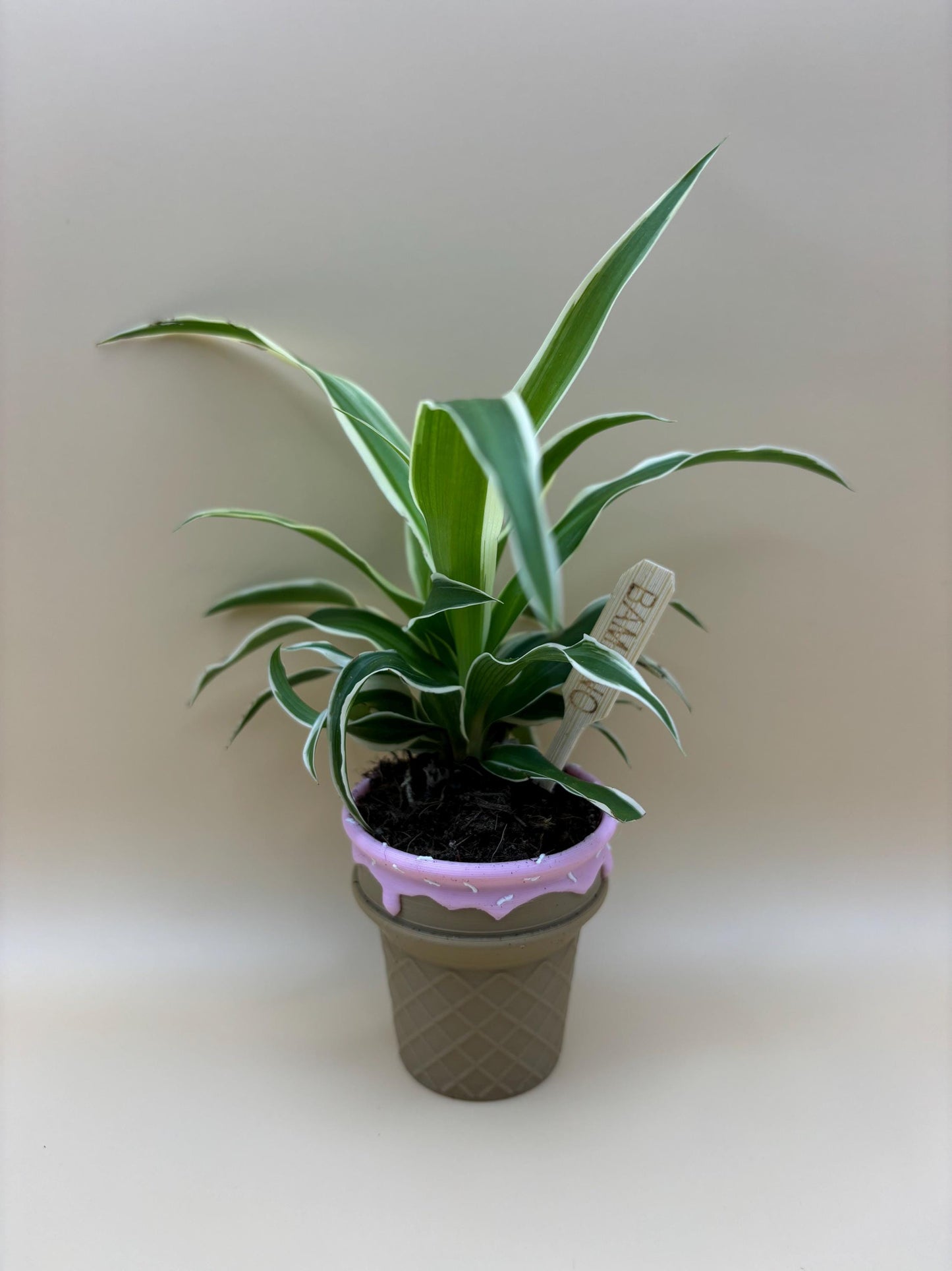 Adorable Ice Cream Cone Planter – Small, Medium, and Large