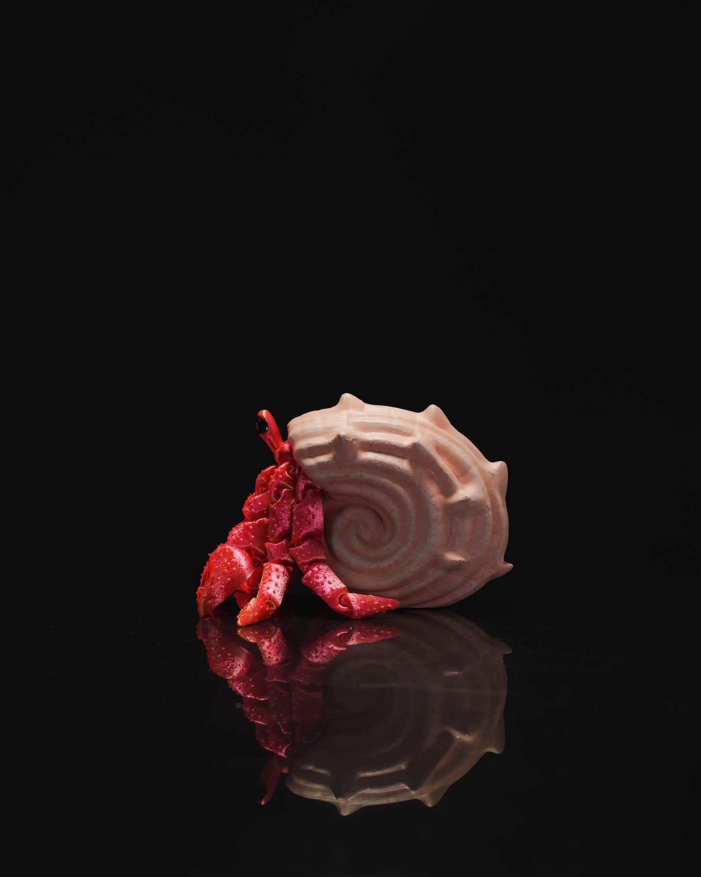 Sebastian the articulated Hermit Crab and his cosy shell! 3D printed toy