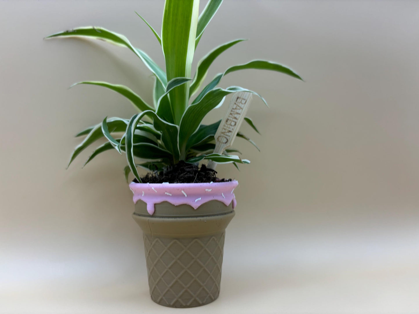 Adorable Ice Cream Cone Planter – Small, Medium, and Large
