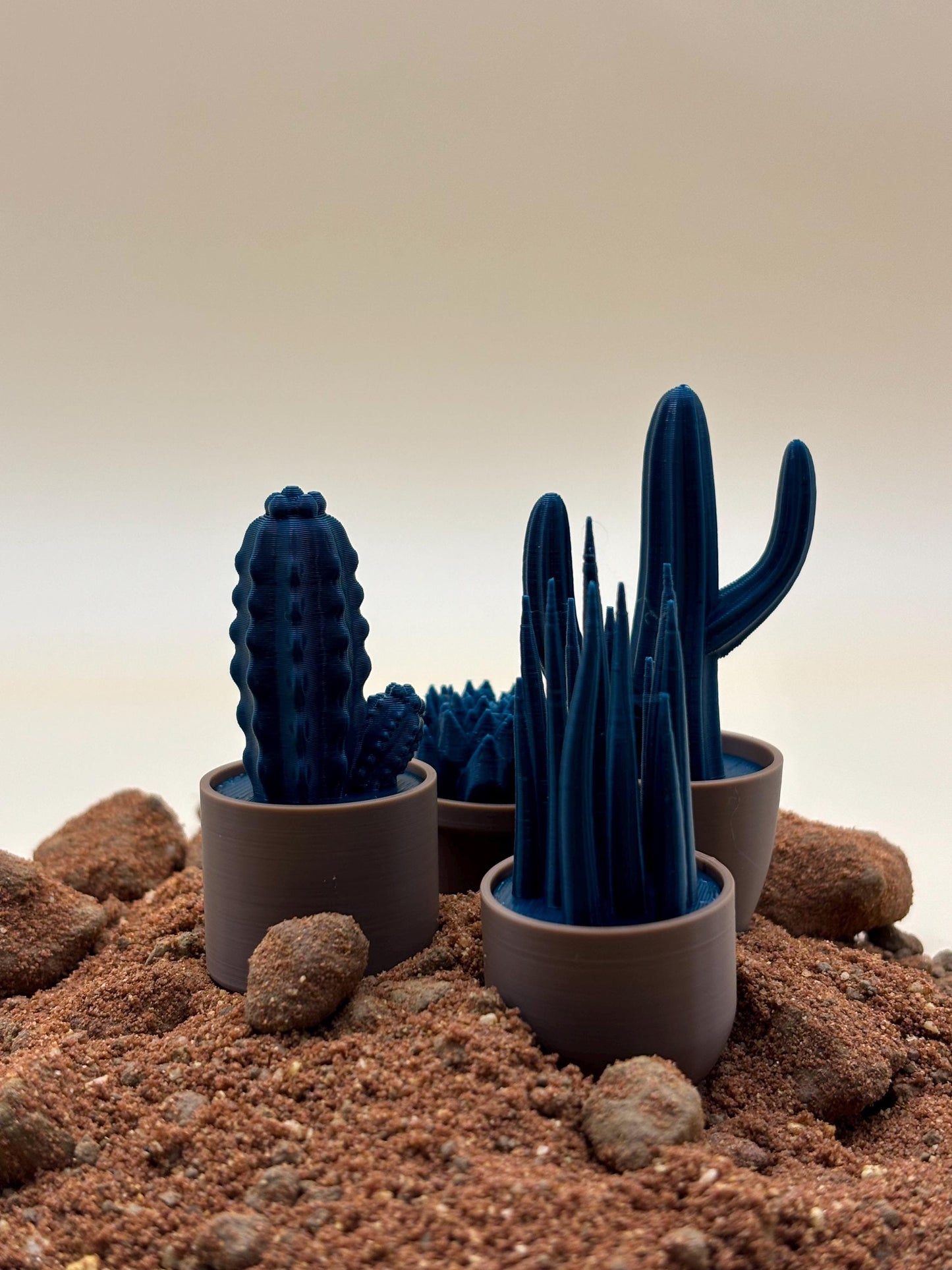 3D Printed Cactus Desk Ornaments – Charming Pot Shapes