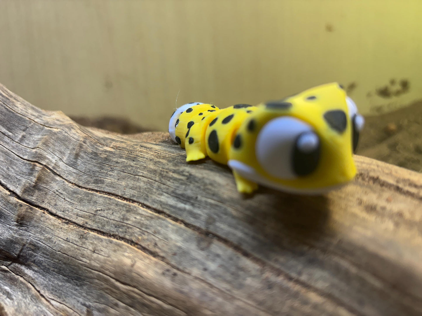 Leo The Flexi Gecko – The Flexible Reptile You’ve Been Looking For!
